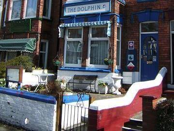 Dolphin 3*